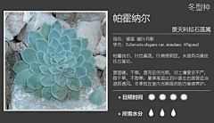 【一人一世界】采集到多肉植物标签