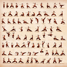 中国功夫-花瓣网|陪你做生活的设计师 | Fighting Poses