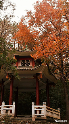 东郭未明采集到莆田24景