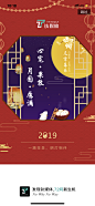 钛媒体 2019元宵 【闪屏 欢迎页】@ANNRAY!