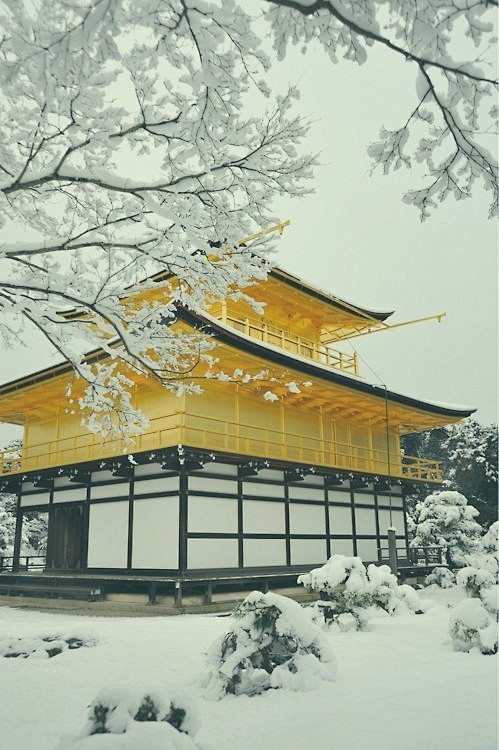 雪中的日本。
