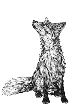 油条LM曲线采集到黑白插画