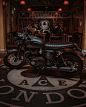 Photo by Triumph UK on September 04, 2021. May be an image of motorcycle.