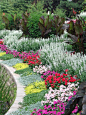 花坛,花坛设计,花,花卉,园林,园林景观,设计,花园,色彩,植物,