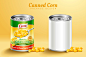 包装与玉米粉罐  餐饮美食 营养保健 美食主题海报设计AI cb046037921