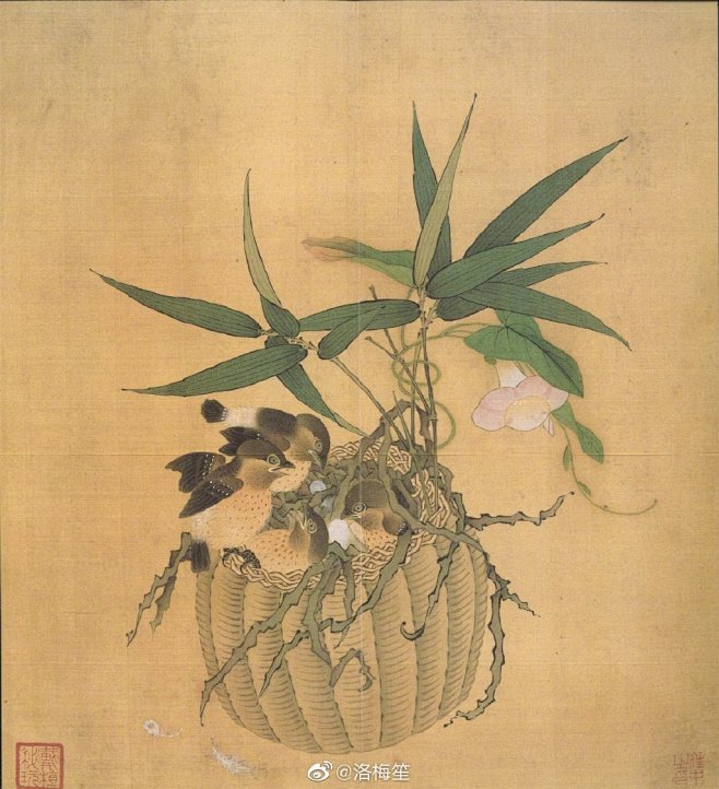 洛梅笙的微博_微博
