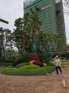 严老师（植栽设计）采集到景观施工工艺工序