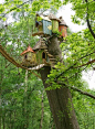 Ferngully treehouse.