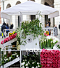 美丽鲜花×经典香水，香奈儿 (Chanel) 在英国母亲节来临之际推出弹出式花车，缤纷装扮传递浓浓爱意！