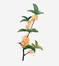 手绘金色桂花psd免抠素材_新图网 https://ixintu.com 桂花 桂花树 桂花枝干 植物 手绘装饰物 金色 绿色植物 手绘桂花树