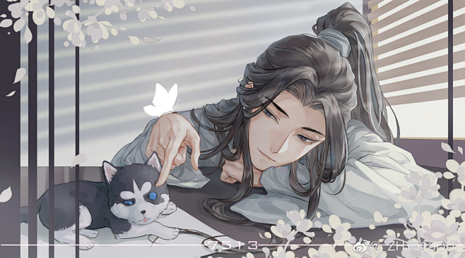 二哈和他的白猫师尊@_ZH7513OU_