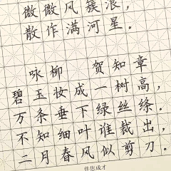 一叶秋冉采集到字帖