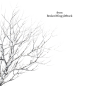 Winter Tree 13 by BrokenWing3dStock