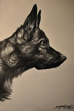 德牧-狮鸢SONNY__涂鸦王国插画