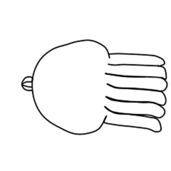 章鱼 表情包 - 视觉中国设计师社区