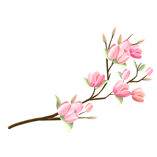 手绘粉色玉兰花花卉元素