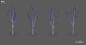 LowPoly Trees, Antonio Dell'Aquila : I had the chance to create these three assets for Narramor, a computer role playing game under development by Sleeping Hero, Milan (Italy).<br/>Lowpoly trees to build-up a mystical forest where the game will take