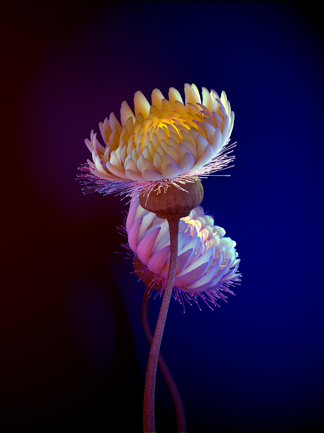 Vivo Live-Wallpapers...