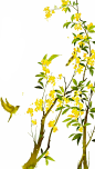 桂花2png