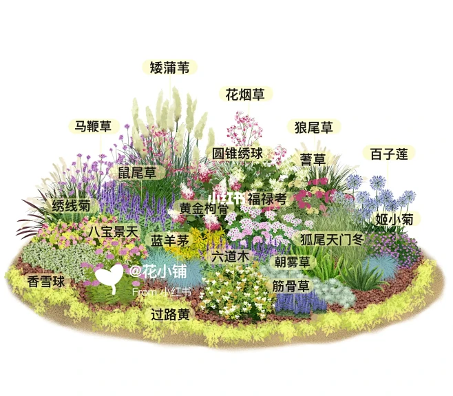 上哪找这么实用的花境植物配置（快码住）