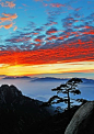 【火烧云】十月黄山景更佳，日出彩霞红似火。酷旅图 http://www.coollvtu.com 

