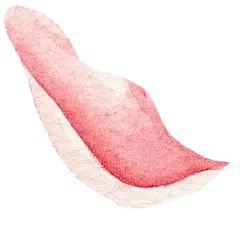 1 (51)
