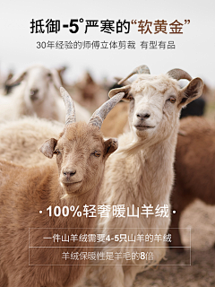 睡眠藝術家~采集到羊毛