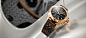 Ingenieur_Chronograph_Goodwood_Mood.a670a9484ae8a833b6845fbafd1cd00b.jpg (972×426)