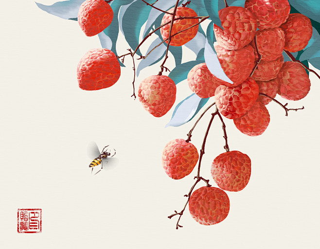 荔枝手绘