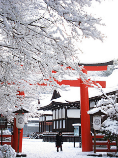 showjoun采集到風景