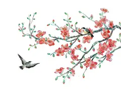 红色手绘卡通古风中国风木棉花花枝小鸟元素PNG素材