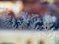 VCG211127663089