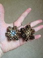 40 awesome pinecone crafts and projects: 