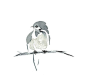 Little Bird Minimalist Print 