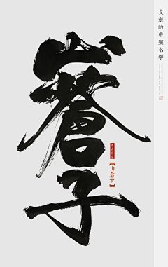 哈瑞six采集到①标题icon书法字
