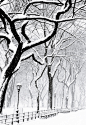 下雪天，中央公园，纽约市 