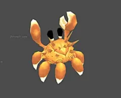 寄居蟹，海螺蛳，海蟹，螃蟹4
