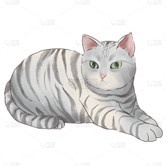 用户DYZQi18s采集到猫