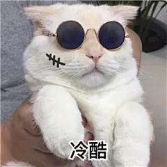 冷酷喵表情包_冷酷喵表情包下载_冷酷喵动态gif表情图-4399聊天表情包大全