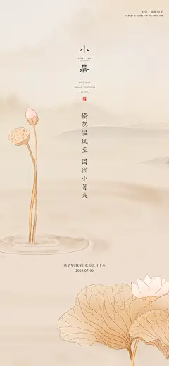 中国传统节气小暑手机海报