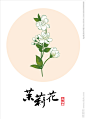 矢量茉莉花