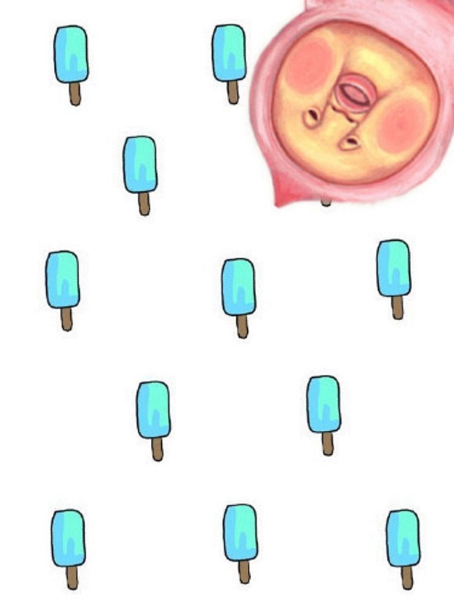 ʕ•̫͡•ʕ LOVE ♡ 屁桃君 ✲ﾟ...