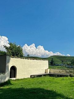 吃亿口香菜采集到你站在桥上看风景