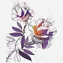 梦幻花朵 花卉 花卉背景 花朵 花朵背景 装饰花 高贵花朵 元素 免抠png 设计图片 免费下载 页面网页 平面电商 创意素材