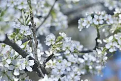 tempImagebFGQKw