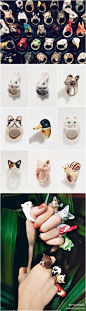 Did you tell me that you collect animal rings: 