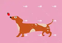 狗 草莓 腊肠犬 卡通片 极简主义者 动物 夏天 自然 画画