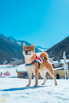 你在等饭吗采集到角色设计