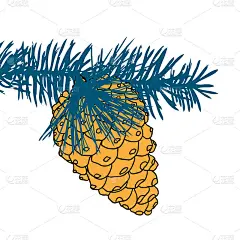 手绘收集的松果在树枝上。森林古老的冷杉球果，带针的云杉球果。树上的彩色针叶树球果。雪松、冷杉、铁杉、