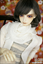 娃娃 Super Senior Delf CIRRUS : Korea Ball Jointed Doll Company